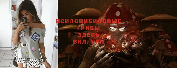 стафф Бронницы