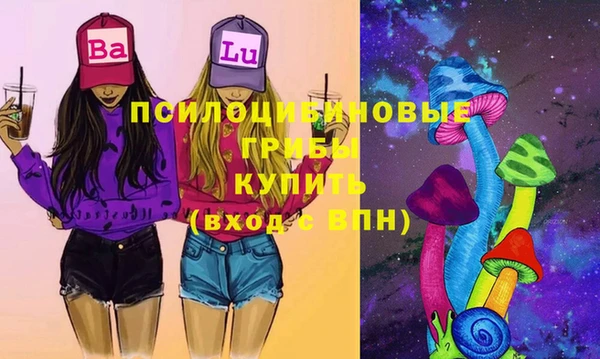стафф Бронницы