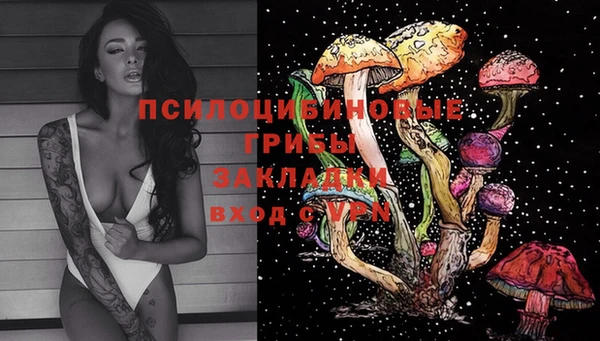 МДПВ Магас